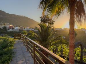 een houten loopbrug met palmbomen en een stad bij Finca Pico in Los Realejos