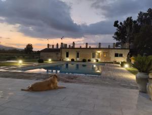 Bazén v ubytování Agriturismo Tenuta Filippi nebo v jeho okolí