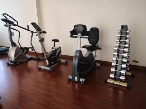 Gimnasio o instalaciones de fitness de Royal Qatar Hotel