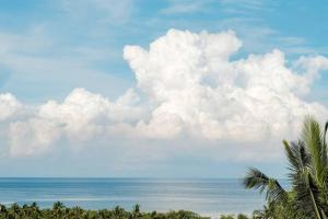 a view of the ocean from a beach with palm trees at Monte Alto Eco Resort Villas in Villaba