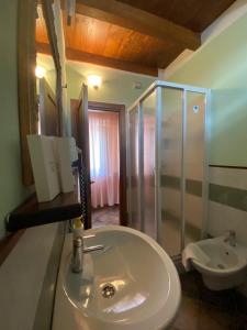 y baño con lavabo y ducha. en Borgo delle Panie en Careggine