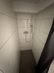 um chuveiro numa casa de banho em azulejos brancos em Ferienwohnung direkt am Bodensee / Untersee nahe Konstanz em Berlingen