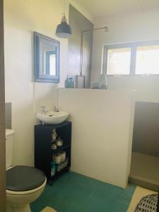 a bathroom with a toilet and a sink at Doornboom Farm Self Service in Heidelberg