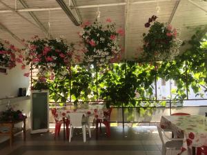 Restaurace v ubytování Steaua Nordului