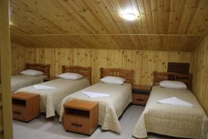 three beds in a room with wooden walls and ceilings at Hostel VinoGrad in Haysyn