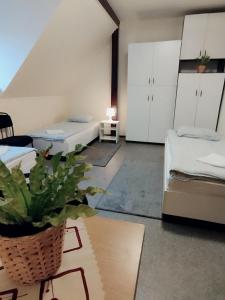 una sala de estar con 2 camas y una maceta en Centro Unita en Cracovia