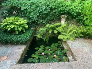 a garden with a pond with flowers and plants at Appartement près de DOLE in Menotey