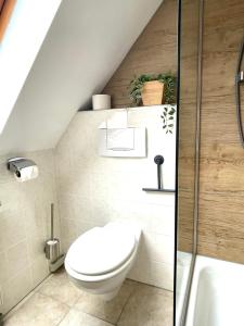 a attic bathroom with a toilet and a shower at Pension Hühnermühle in Volkerode