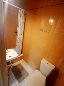 y baño con aseo y lavamanos. en Podhalańska Chata en Zakopane