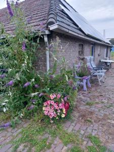 a house with a bunch of flowers in the yard at Logeerruimte in gerenoveerde boerderij in Wachtum in Wachtum