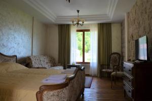 um quarto com uma cama, uma televisão e uma janela em Markovic Winery and Estate apartments em Cetinje