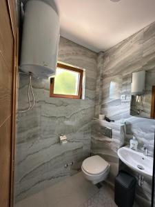 a bathroom with a toilet and a sink at Markovic Winery and Estate apartments in Cetinje