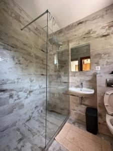 a bathroom with a shower and a sink and a toilet at Markovic Winery and Estate apartments in Cetinje