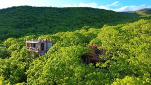 an aerial view of a house in the trees at Villa Vejini cabin in Mamkoda
