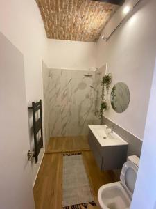 a bathroom with a sink and a toilet at Quiet green oasis in city center in Cluj-Napoca