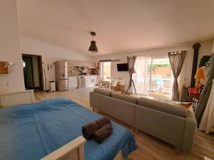 Una sala de estar con un sofá y una cocina. en Villa dos Patudos, en Faro
