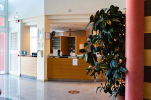a potted plant in the lobby of a hospital at Hotel Olympus in Caorle
