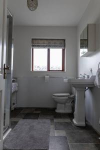 a bathroom with a toilet and a sink and a window at Ligford Cottage in Strabane +16 photos