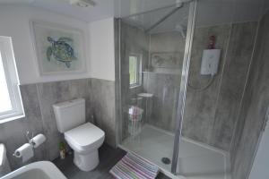 a bathroom with a shower and a white toilet at St Duthus Hotel Apartment in Tain