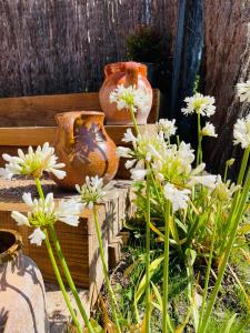 two vases and white flowers in a garden at Hotel Cal Sastre in Santa Pau