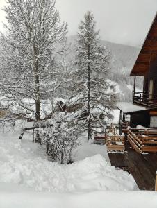 un patio cubierto de nieve junto a una cabaña con árboles en Chalet Ailleurs Appartement à Molines en Queyras, en Molines-en-Queyras