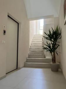 a hallway with a staircase with a potted plant at Ruffini Rooms in Termoli