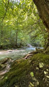 a painting of a river in a wooded area at Sunset Krikhi in Ambrolauri +15 photos