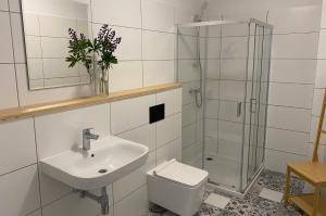 a bathroom with a toilet and a sink and a shower at Apartamenty Spalona Sport in Spalona