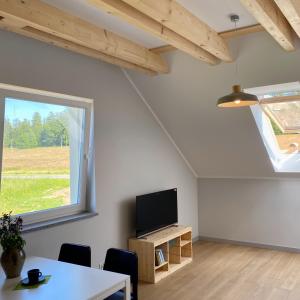 un soggiorno con TV, tavolo e finestra di Apartamenty Spalona Sport a Spalona