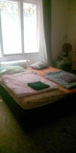 Tempat tidur dalam kamar di flat 18 minutes from Vaclavske namesti