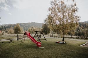 a playground with a red slide and a tree at Dom Malowany domki in Wetlina