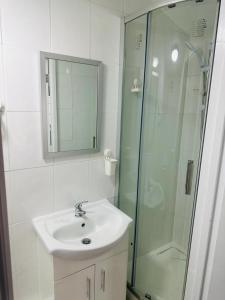 y baño con lavabo y ducha acristalada. en Comfortable Annex en Orsett