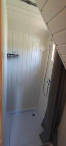 a small bathroom with a shower and a television at Cabane Féerique in Laives
