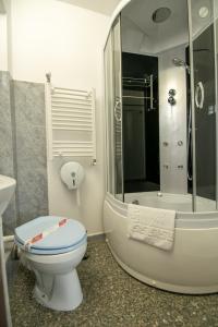 a bathroom with a toilet and a shower at Lacrima Izei in Săcel +48 photos