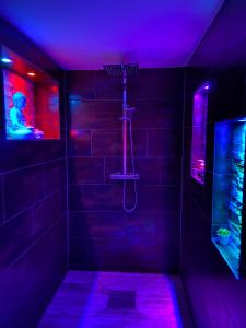ゲーストハッハトにあるThailand Lounge Whirlpool Sauna SPAの紫色の照明付きのシャワー付きのダークバスルーム