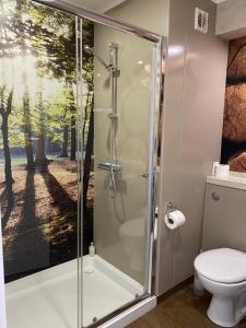 a bathroom with a shower with a toilet at Badger Lodge with Hot Tub in Cupar