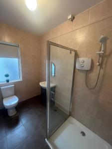 y baño con ducha y aseo. en Yeats Lodge Self catering Apartment and Bar en Galway