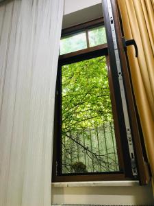 ein Fenster mit Blick auf einen Baum in der Unterkunft Halil Bey Konağı in Istanbul