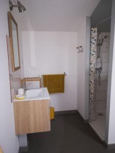 een badkamer met een wastafel en een douche bij Gîte indépendant neuf, idéal vacances nature au calme, proche rivières, N147 & Civaux in Mazerolles