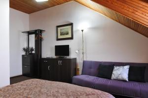 TV a/nebo společenská místnost v ubytování Hotel Wilhelm