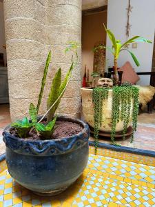 Fotografie z fotogalerie ubytování Les Terrasses d'Essaouira - Yoga Studio v destinaci Essaouira