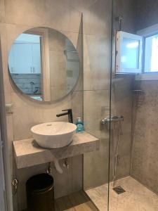 ein Bad mit einem Waschbecken und einer Dusche mit einem Spiegel in der Unterkunft Litsa Apartments in Fourka