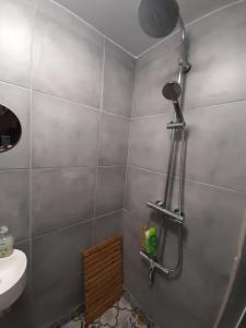 a bathroom with a shower and a sink at Beau Maison in Le Vigeant +15 photos