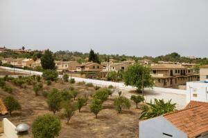 arial view of a village with trees and houses at APARTAMENTO DO LAGAR in Algoz