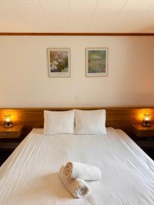 Ένα ή περισσότερα κρεβάτια σε δωμάτιο στο Hotel Wildbach Brienz