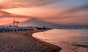 Naturlandskabet i nærheden af lejligheden