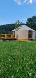 a yurt with a train in a field of grass at 4 Żywioły -całoroczne jurty w Sudetach in Stronie Śląskie