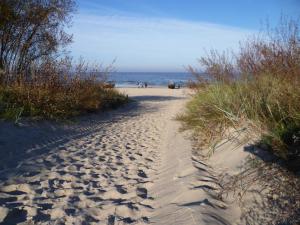 un chemin de sable menant à une plage donnant sur l'océan dans l'établissement Villa Sonnenstrand II, à Bansin