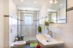 a bathroom with a shower and a sink and a toilet at Baumelt Ferienwohnung in Hechingen +20 photos