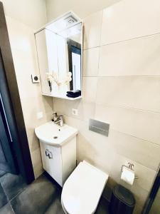 een badkamer met een wit toilet en een wastafel bij Villa Vilma in Sigulda